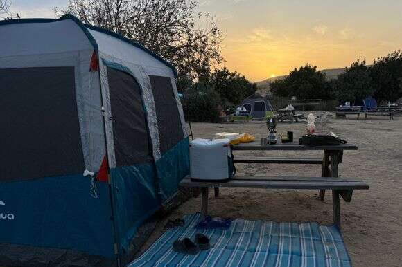 גן לאומי ממשית | צ'ק אין אאוט