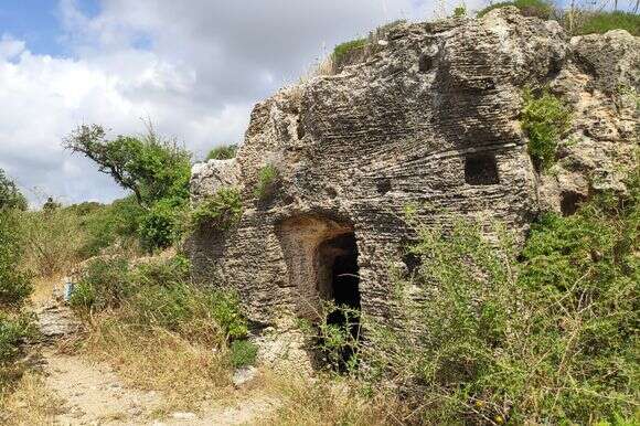 חורבת קרתא | צ'ק אין אאוט