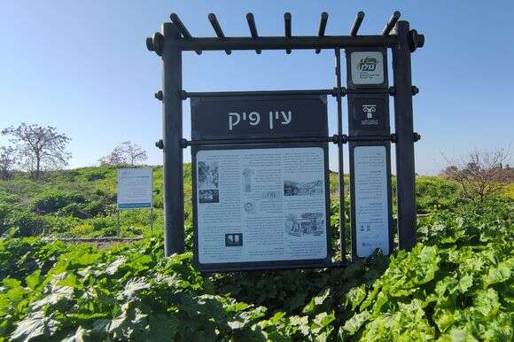 עין פיק | צ'ק אין אאוט