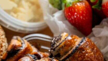 רוגלך | גיא אשכנזי, Agency Karela