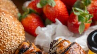 רוגלך | גיא אשכנזי, Agency Karela