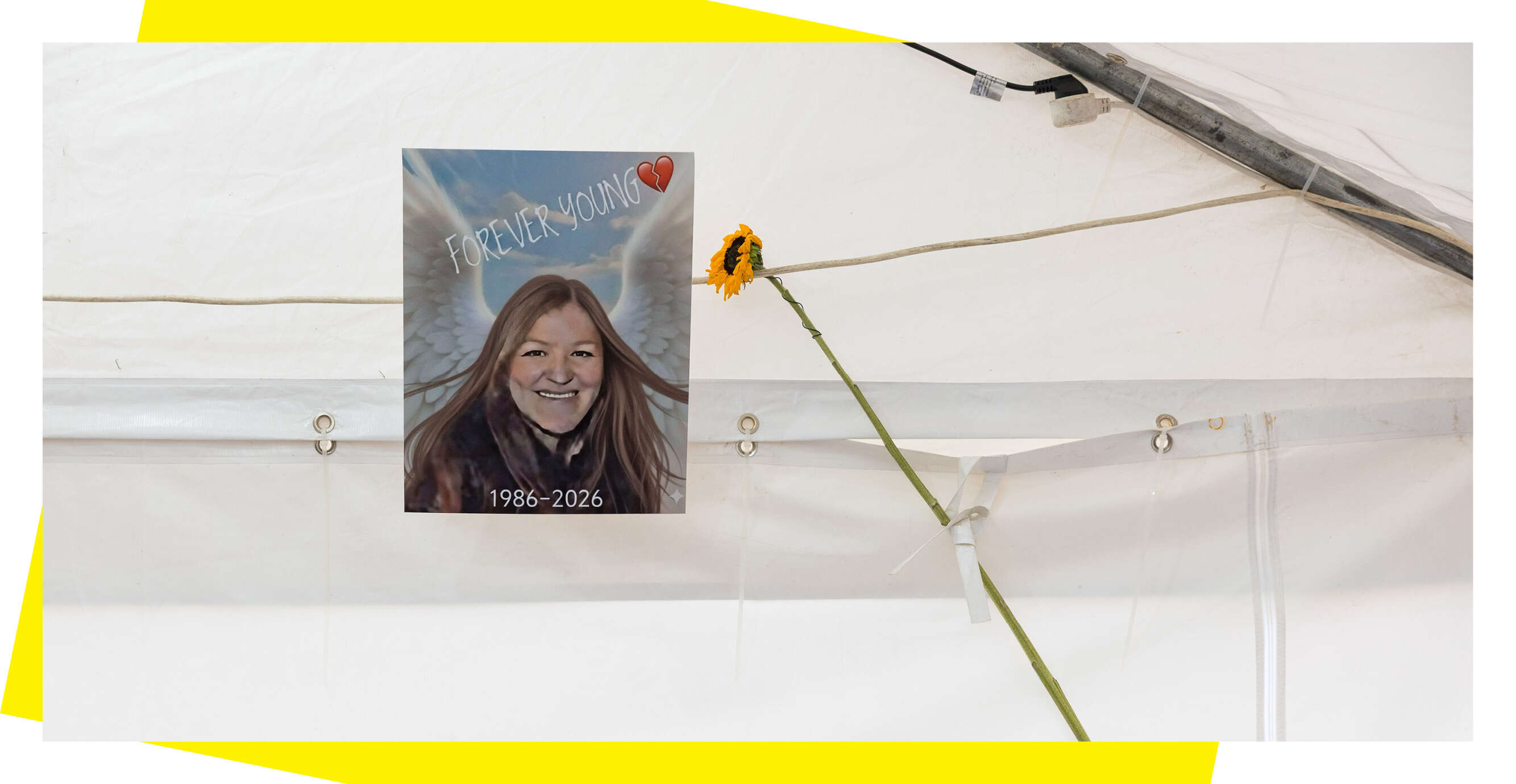 לירון מולדובן