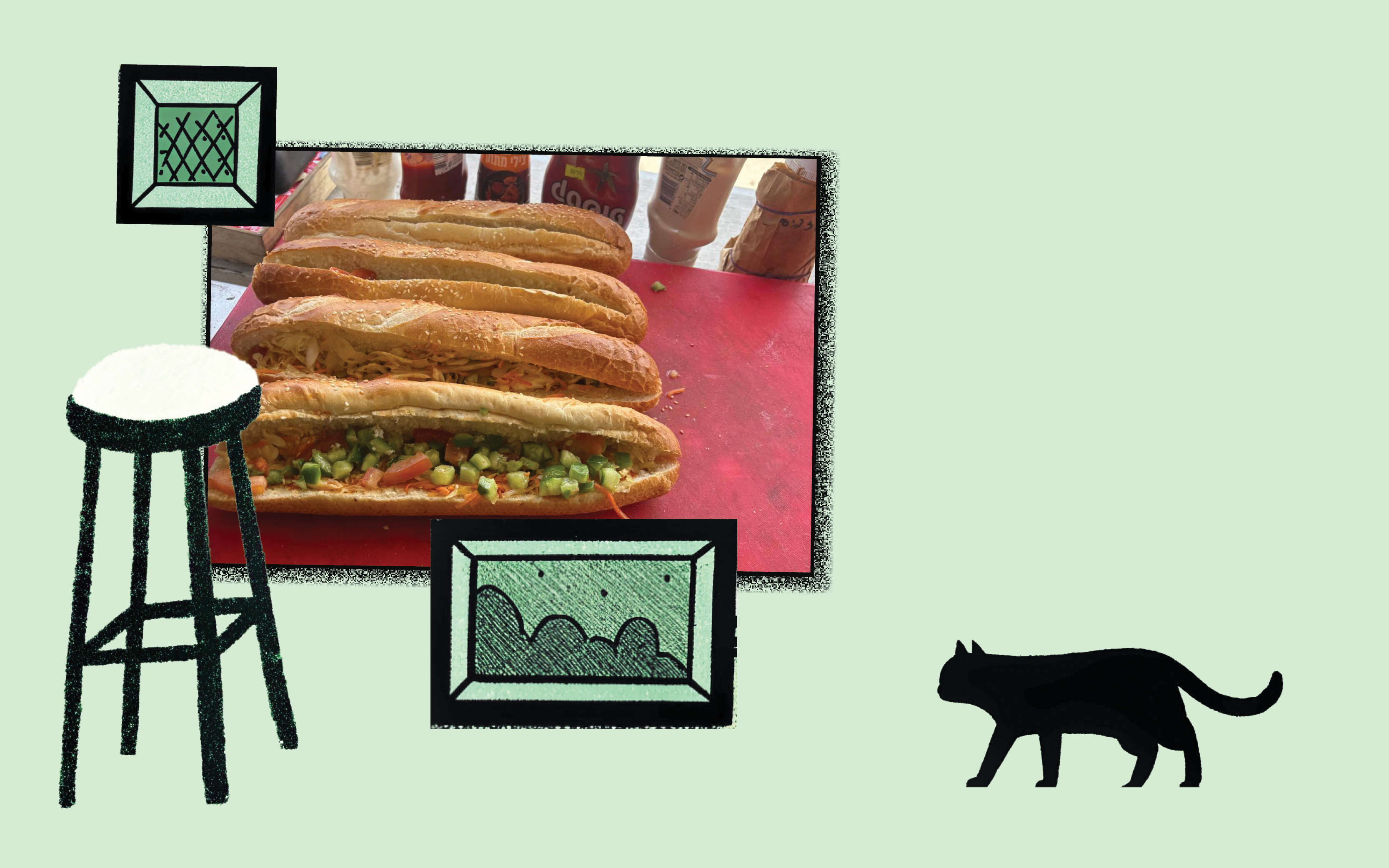 חתוליות אוכל בסיסי | יח"צ