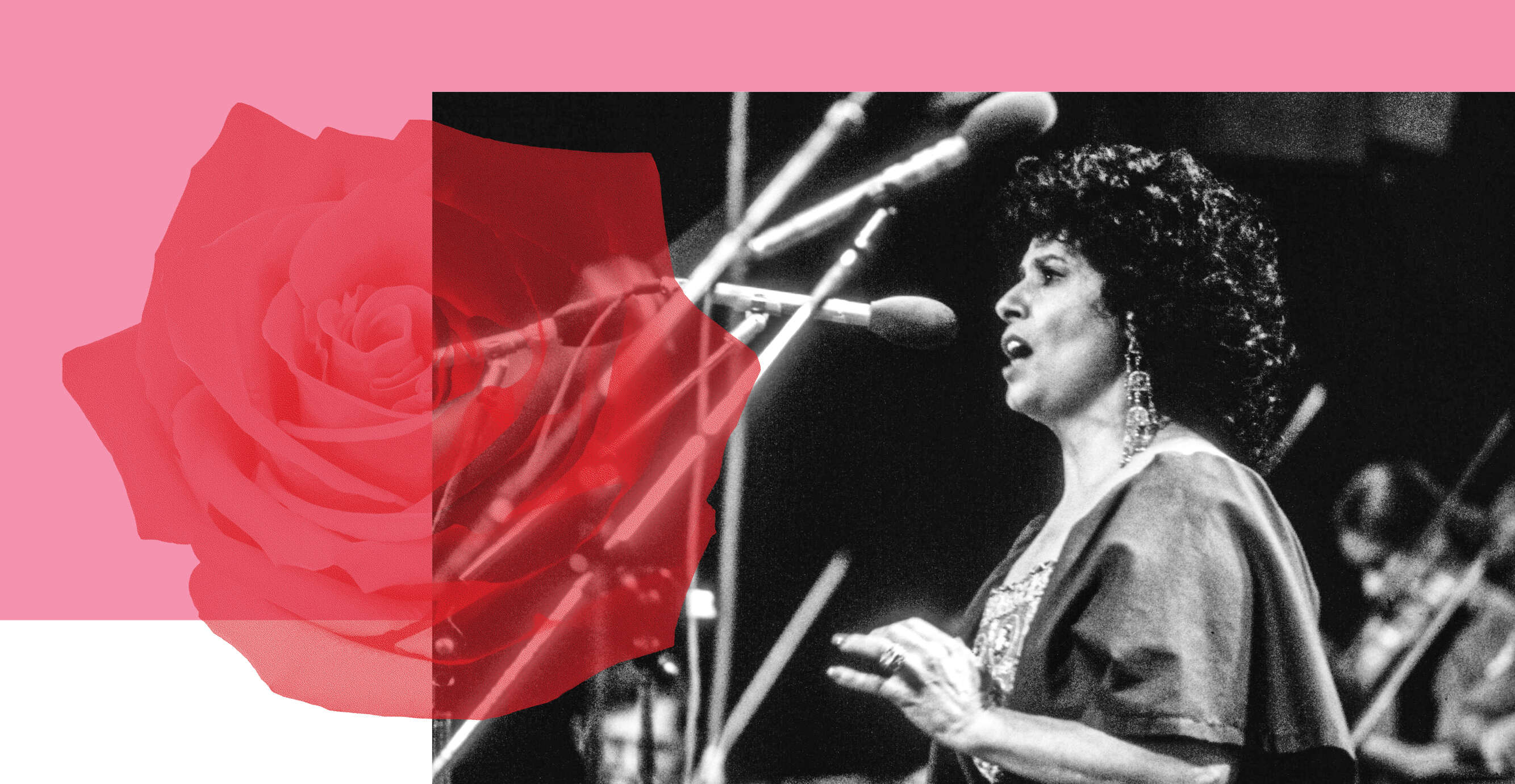 יעקב סער, לע"מ יעקב סער, לע"מ