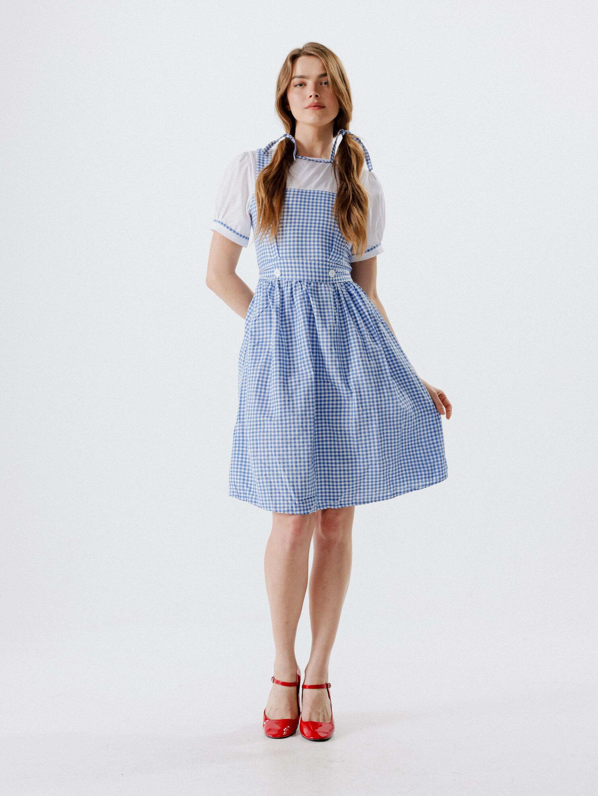 תחפושת פיקניק | טרמינל איקס