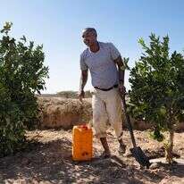 חקלאי בסומלילנד, שמקווה לקבל עזרה מישראל | AFP חקלאי בסומלילנד, שמקווה לקבל עזרה מישראל | AFP
