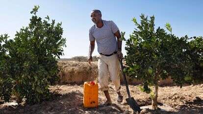חקלאי בסומלילנד, שמקווה לקבל עזרה מישראל | AFP