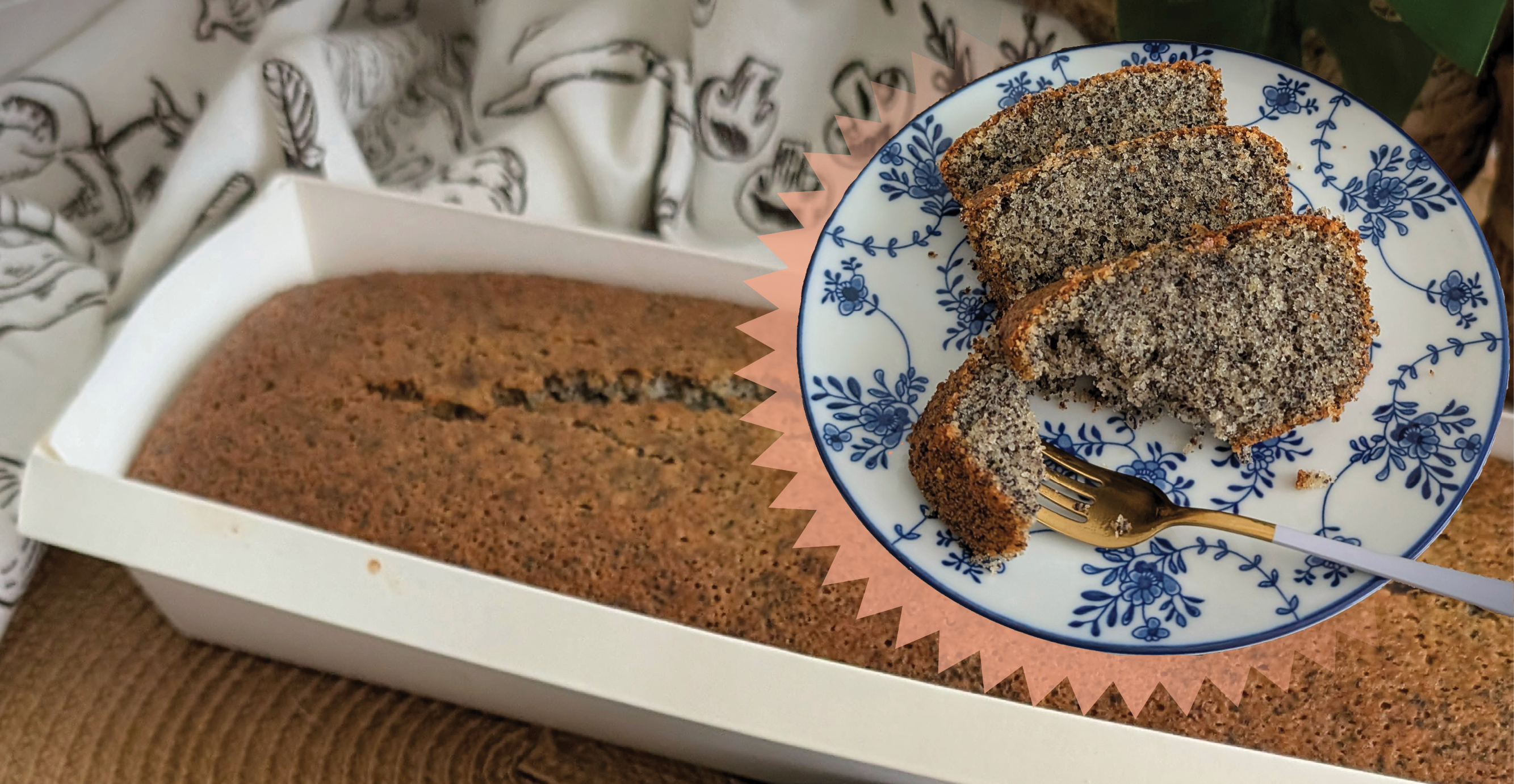 עוגת פרג בקערה אחת | רתם הורבי