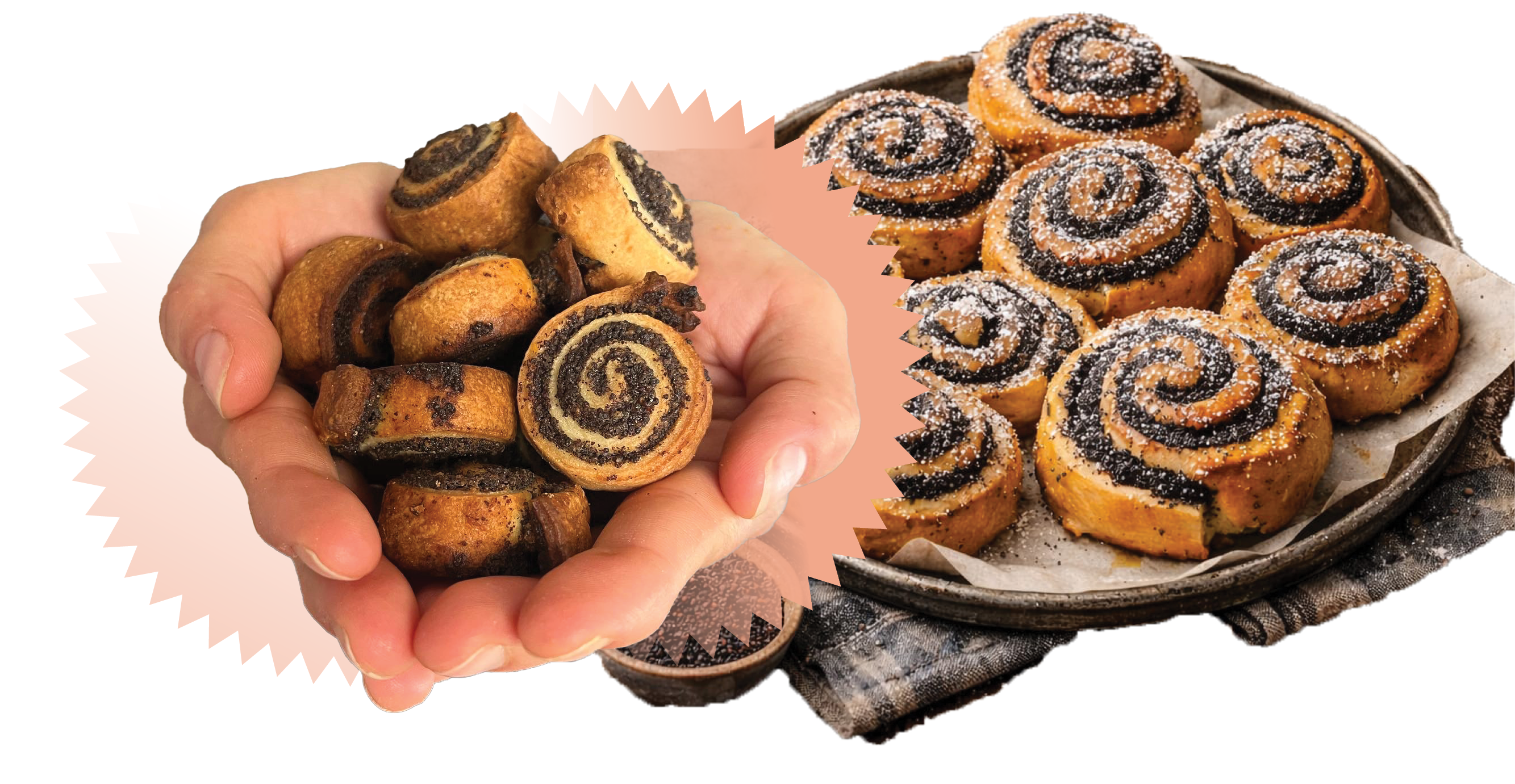 שבלולי פרג | ג'מיניי | צבי סנדלר