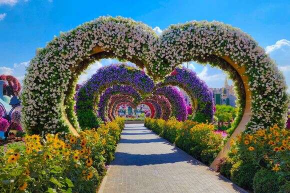 גן הפרחים הגדול בעולם בדובאי | שאטרסטוק