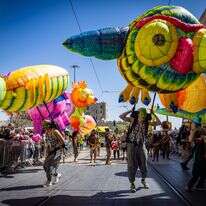 עדלאידיע בירושלים | יונתן זינדל - פלאש 90