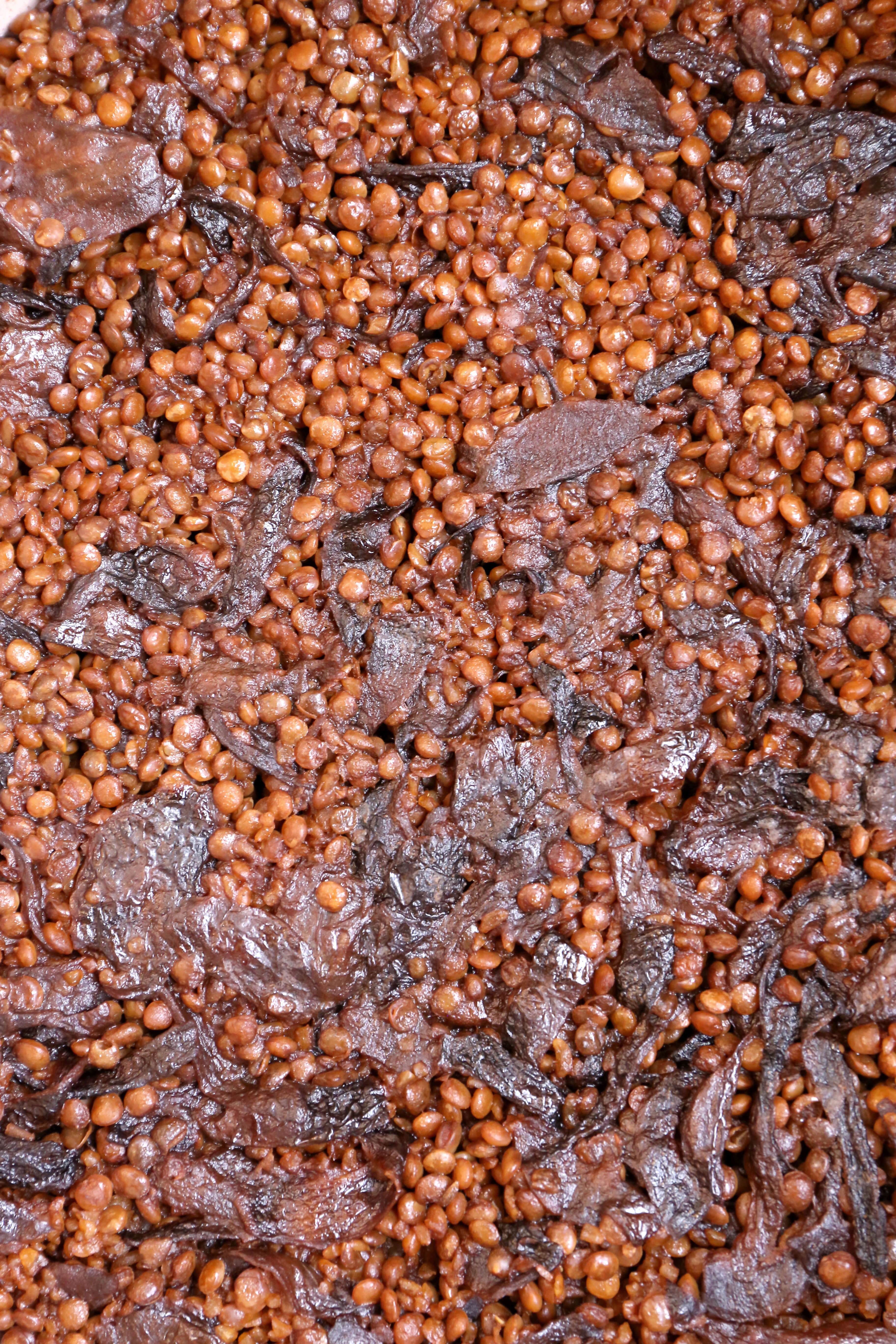 בלי אורז בכלל: מג'דרה עמוקה ועשירה עם בצל מקורמל | אפרת ליכטנשטט