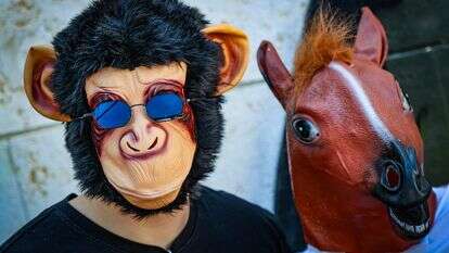 פורים | יונתן שאול, פלאש 90