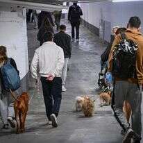 אנשים תופסים מחסה בחניון בתל אביב מפני טילים שנורו מאיראן | אבשלום ששוני - פלאש 90