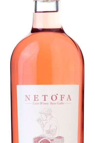 תל קאסר רוזה נטופה | חגית גורן