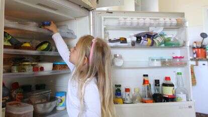 מקרר ביתי | חן לאופולד / Flash90