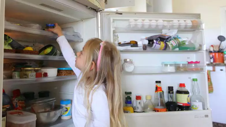 מקרר ביתי | חן לאופולד / Flash90
