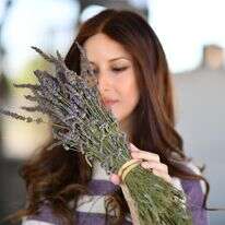 אישה מחזיקה לבנדר בחוות לבנדר ברמת הגולן | מנדי הכטמן/Flash90