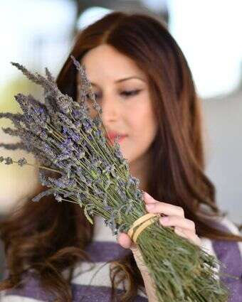 אישה מחזיקה לבנדר בחוות לבנדר ברמת הגולן | מנדי הכטמן/Flash90