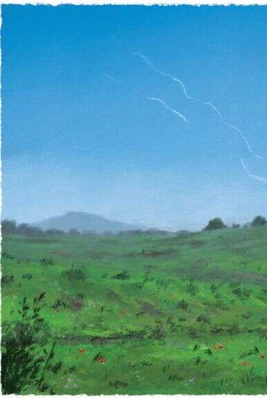 איור: מנחם הלברשטט