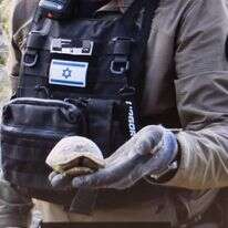 חבלן המשטרה עם הצב הפצוע | דוברות משטרת ישראל