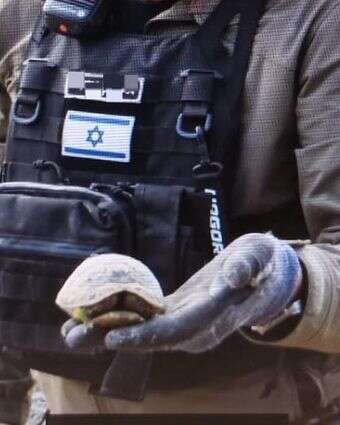 חבלן המשטרה עם הצב הפצוע | דוברות משטרת ישראל