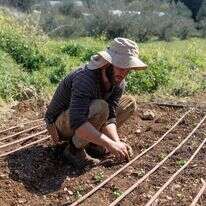מתנדבים מסייעים בעבודות חקלאיות בחוות קיימא בבית זית | רחל אלרואי/Flash90