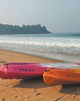 מהודו ועד כאן דף הבית | ללא