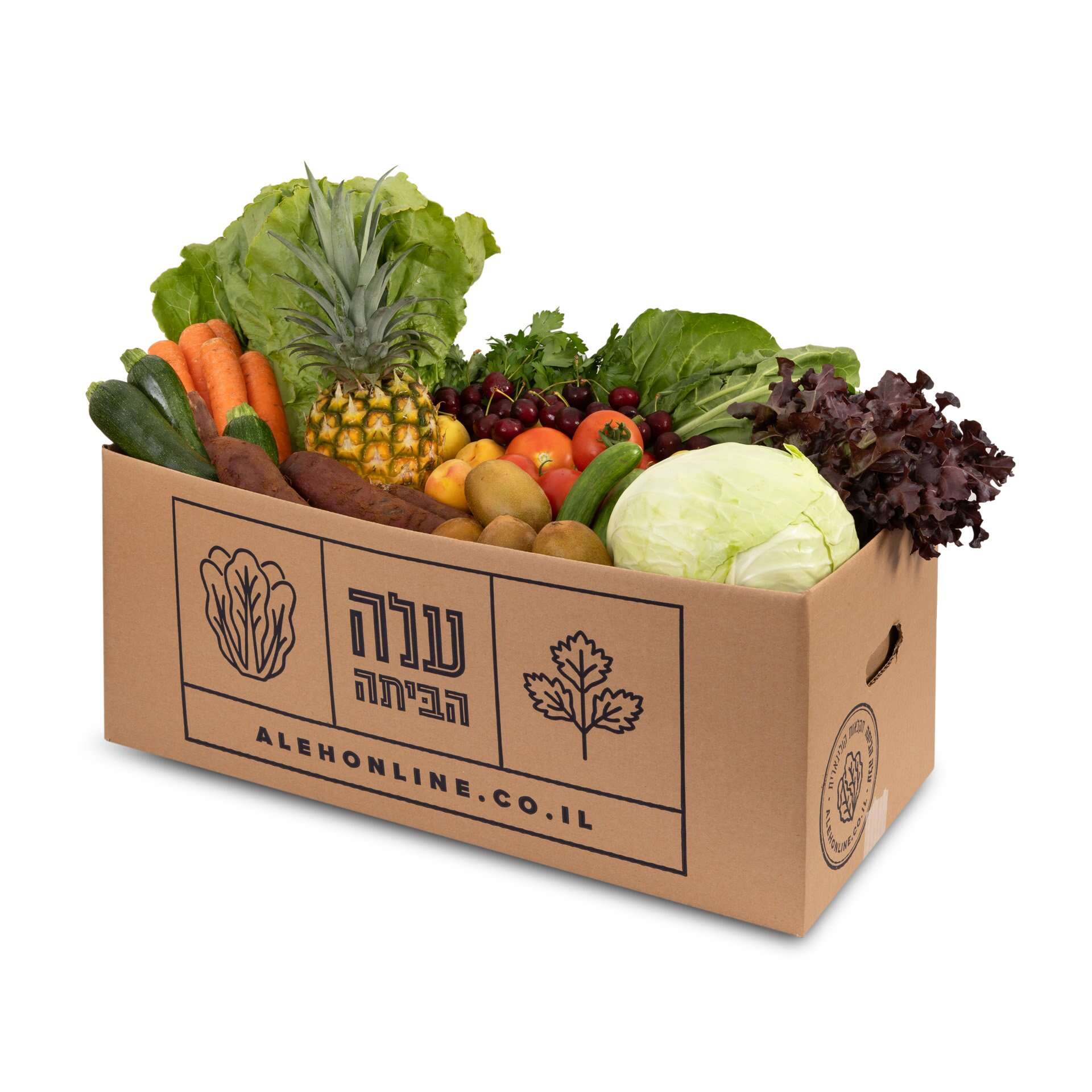 עלה הביתה | אסף רונן