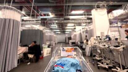 הרך הנולד | ביה"ח מעייני הישועה