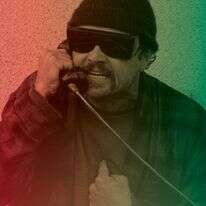 בדרך אל האוסקר | באדיבות טוליפ אנטרטיינמנט