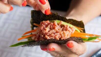 הנד רול | גיא אשכנזי, Agency K