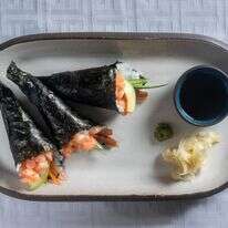 קונוס | גיא אשכנזי, Agency K