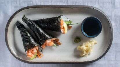 קונוס | גיא אשכנזי, Agency K