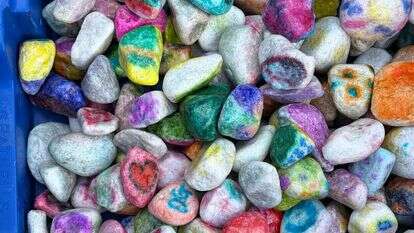 חלוקי נחל שציירו מטופלים בבתי חולים עבור פינגווינים בגן החיות של אדינבורו בסקוטלנד | הוושינגטון פוסט