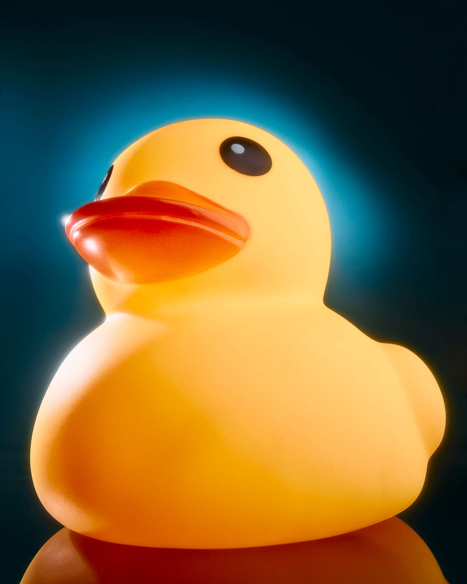 פתלטים נאסרו בברווזי גומי ובצעצועים אחרים | סטפני גונוט / עבור הוושינגטון פוסט