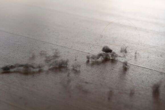 האבק תמיד חוזר – אבל אפשר להפחית אותו | שאטרסטוק