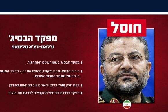 אינפוגרפיקה | דובר צה"ל