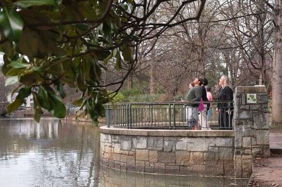 משתתפי מועדון הצעקות צורחים יחד בפארק | AP/אמילי מגניין