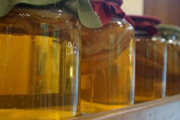 משקה קובוצ'ה | שאטרסטוק