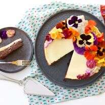 עוגת גבינה ושוקולד | אפרת ליכטנשטט עוגת גבינה ושוקולד | אפרת ליכטנשטט