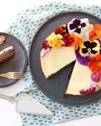 עוגת גבינה ושוקולד | אפרת ליכטנשטט