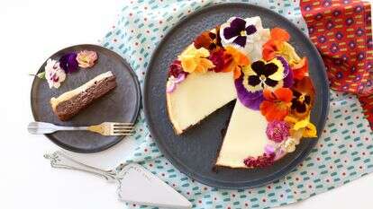 עוגת גבינה ושוקולד | אפרת ליכטנשטט עוגת גבינה ושוקולד | אפרת ליכטנשטט