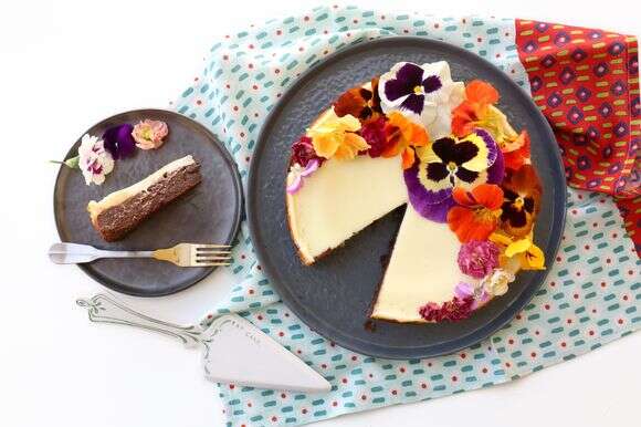 עוגת גבינה ושוקולד | אפרת ליכטנשטט