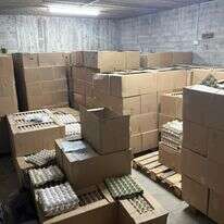 375 אלף ביצים מוברחות בבני ברק. | המועצה לענף הלול