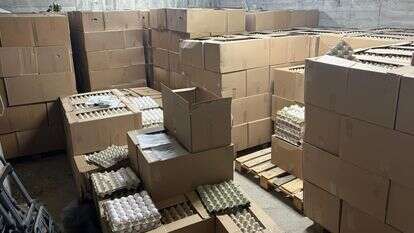 375 אלף ביצים מוברחות בבני ברק. | המועצה לענף הלול