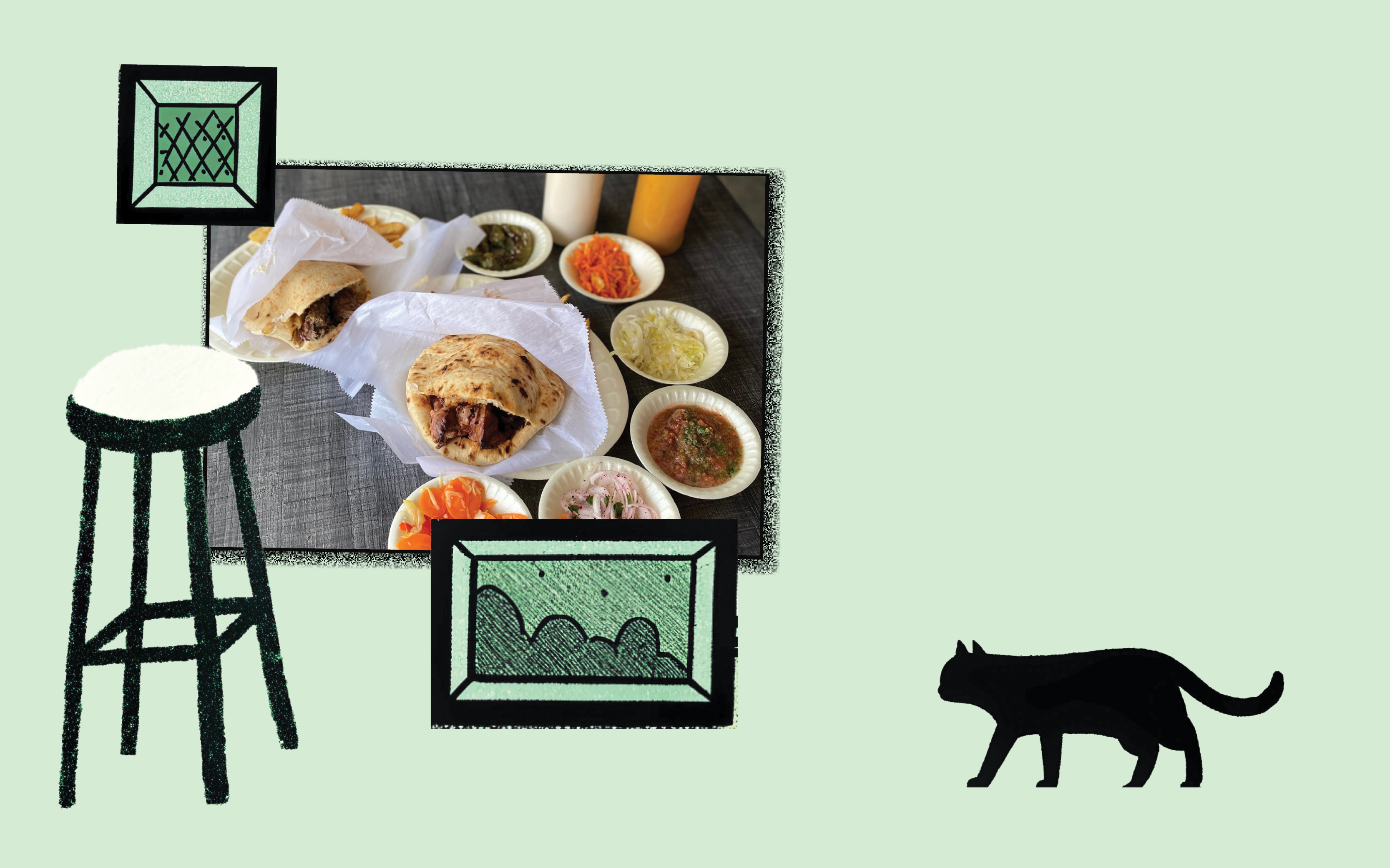 דור המילניום חתוליות | ג'ו ונאווה