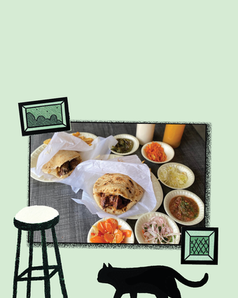 דור המילניום חתוליות | ג'ו ונאווה