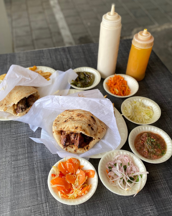 דור המילניום חתוליות דף הבית | ג'ו ונאווה דור המילניום חתוליות דף הבית | ג'ו ונאווה