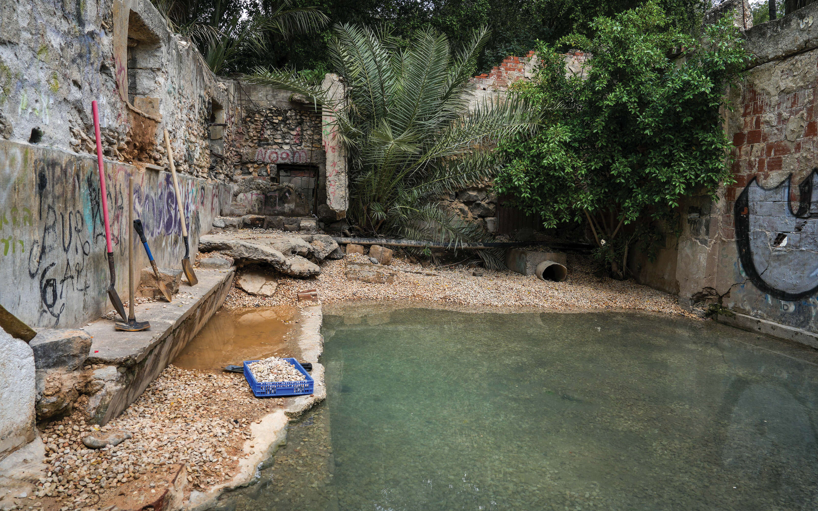 פרשת המים | אייל מרגולין - ג'יני